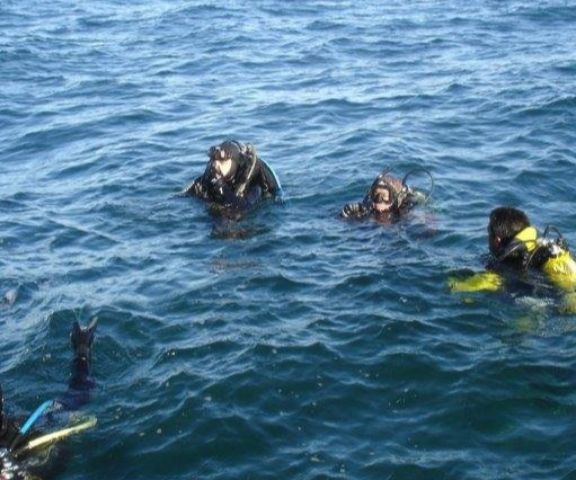 PADI OWD